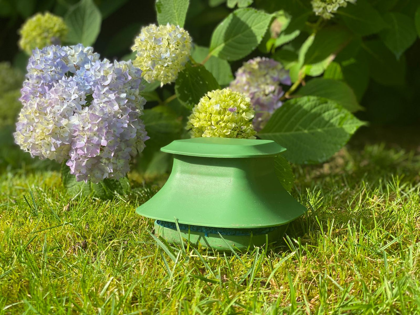 SnailX Gutschein im Wert von 20,- Euro. Verschenke Gartenglück an alle, die sich einen Garten ohne Schneckenplage wünschen 🎁